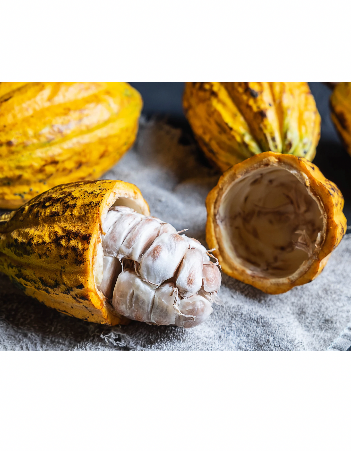 Beurre de cacao bio